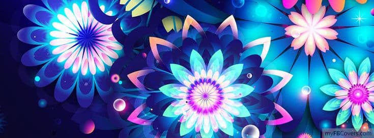 Rose banner image