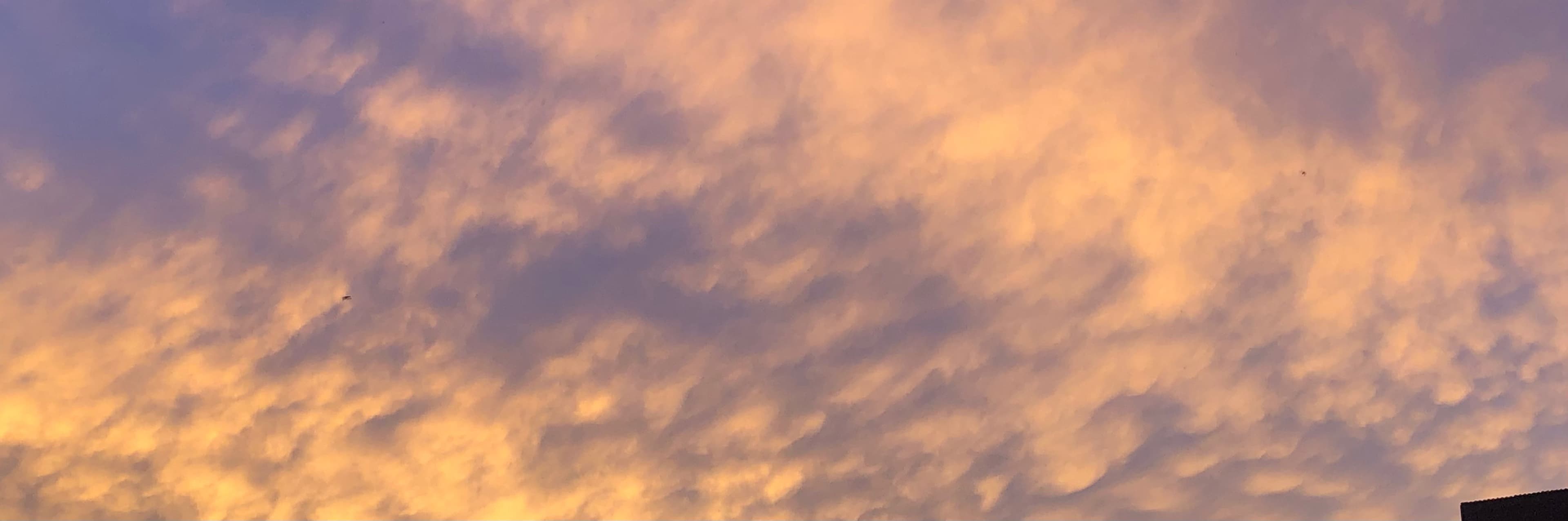 Sara Sky banner image
