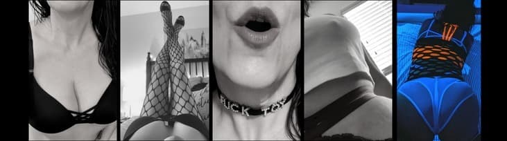 Amy Jenkins banner image