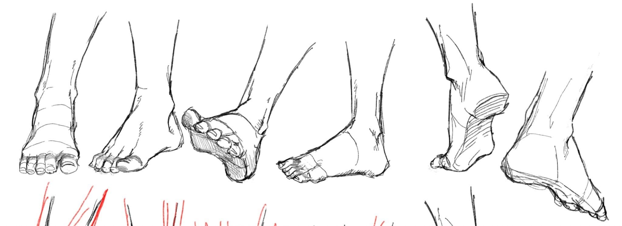 Feetlovermx banner image