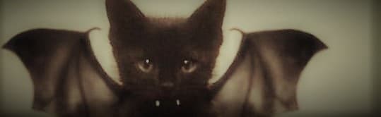 Toggle it banner image