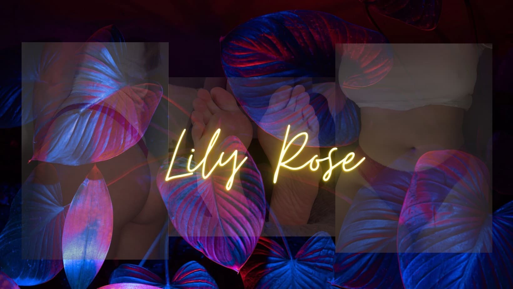 Lily Rose banner image
