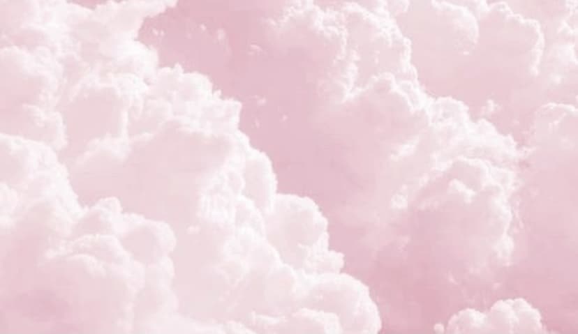 ERIN - ROSE πππ¦ banner image