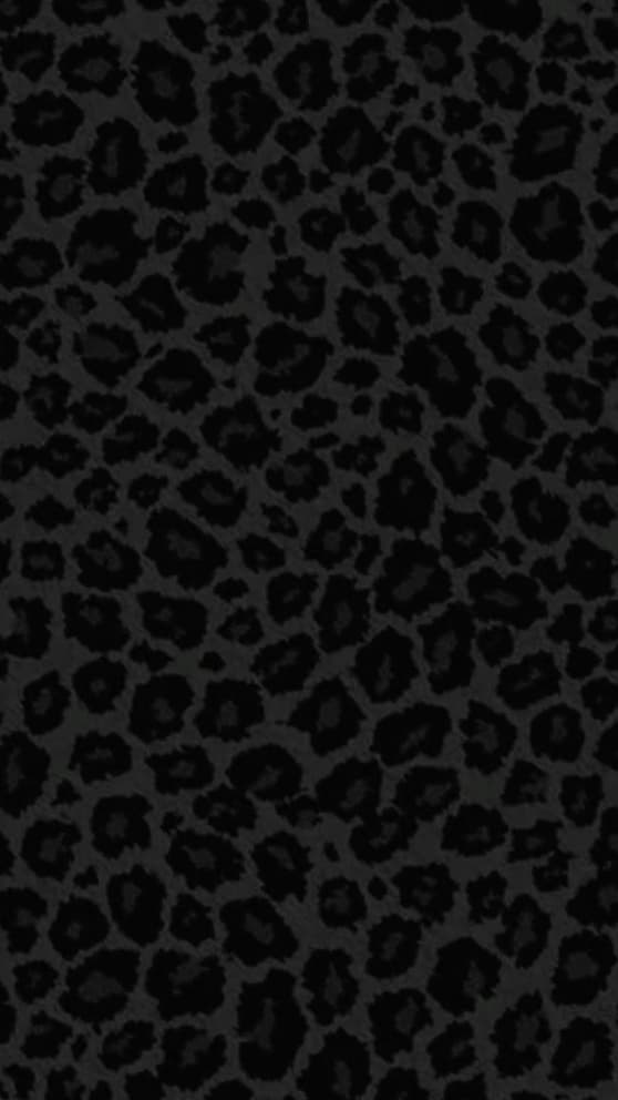 Jazzxoxo banner image