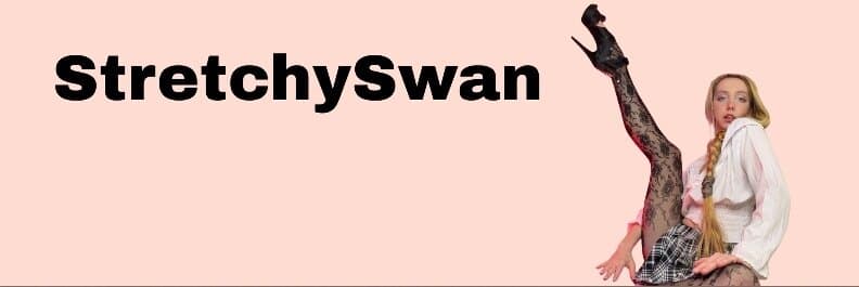 stretchyswan banner image