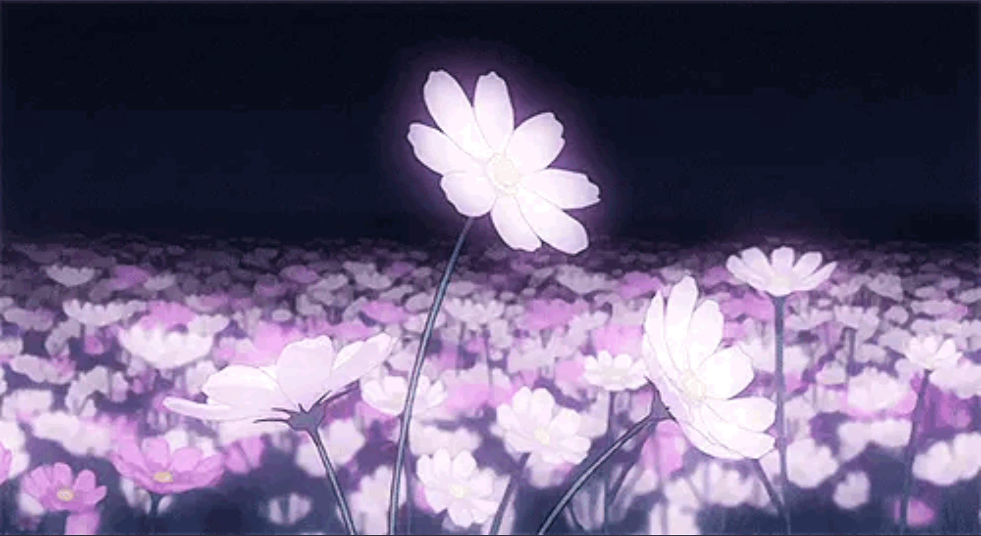 Dana banner image