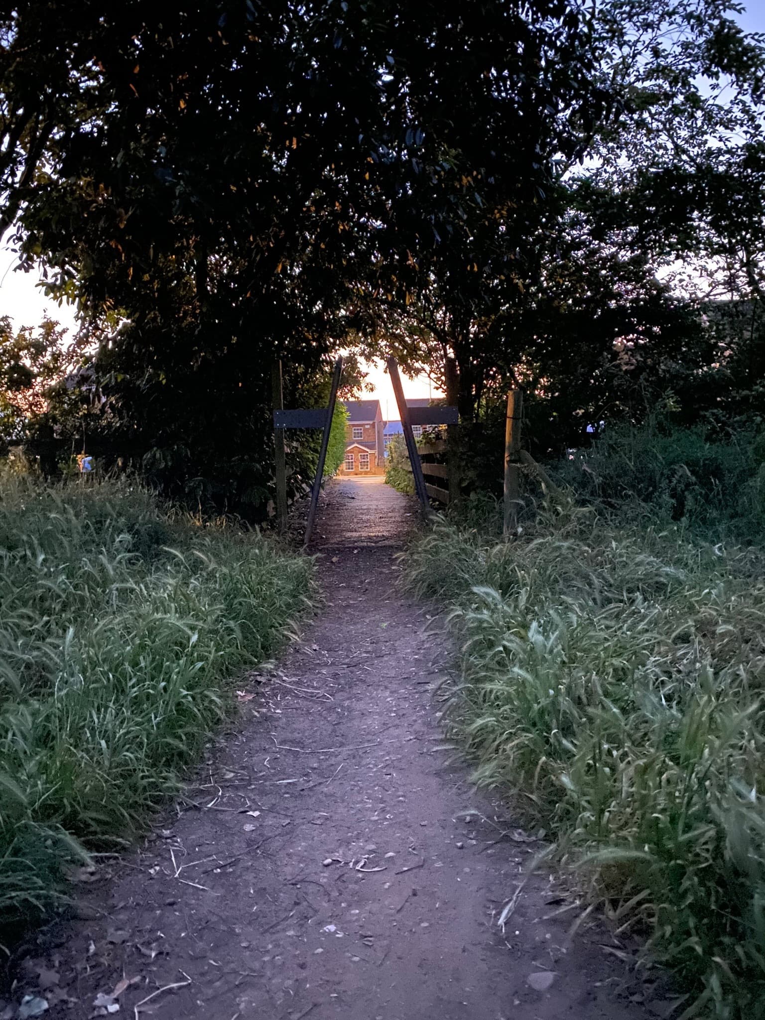CockinaBlock banner image