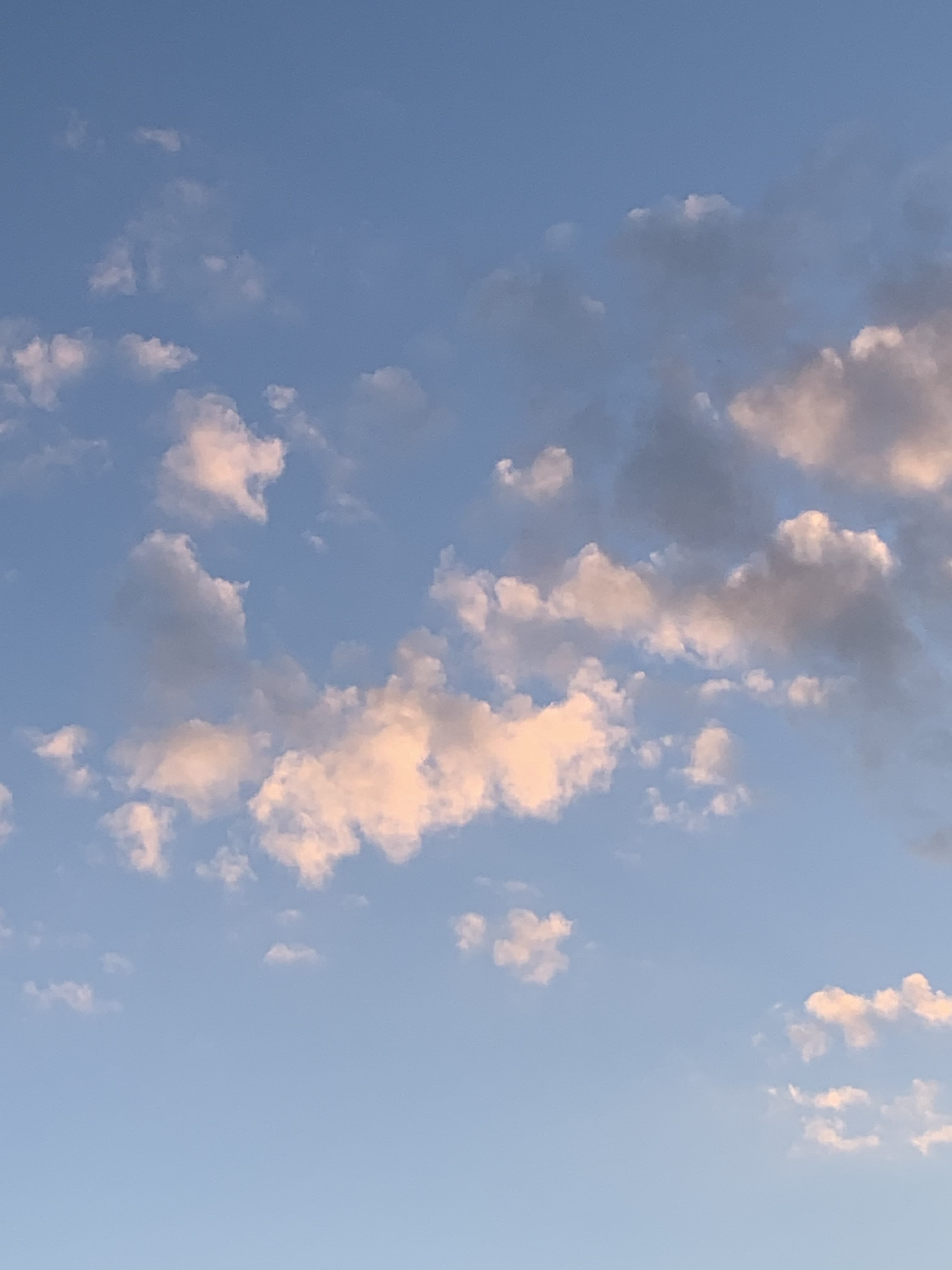 King Of Dumpies banner image