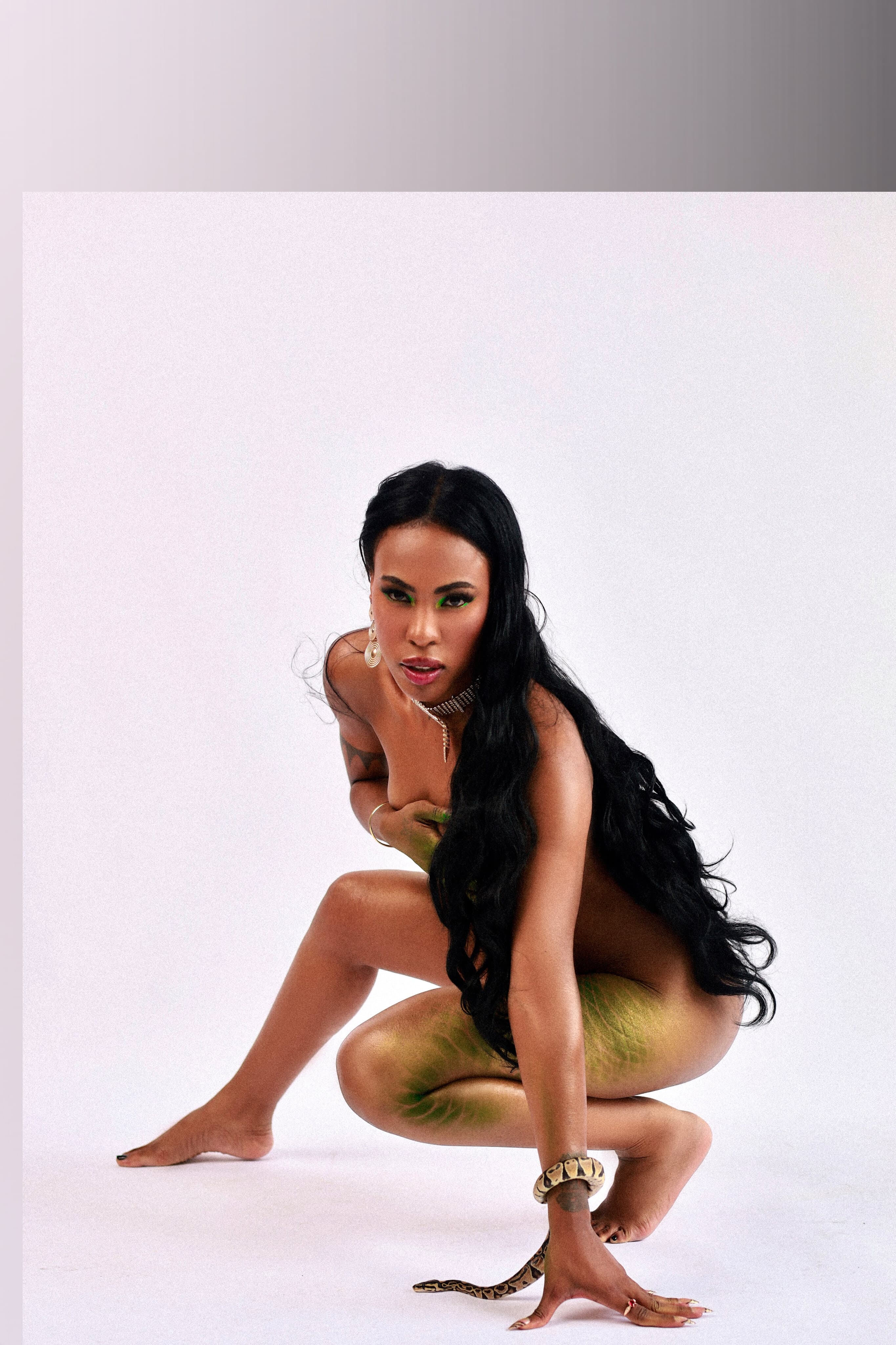Venus banner image