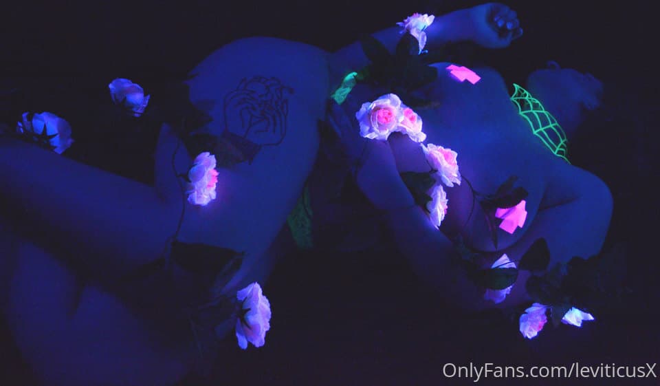 Levi banner image