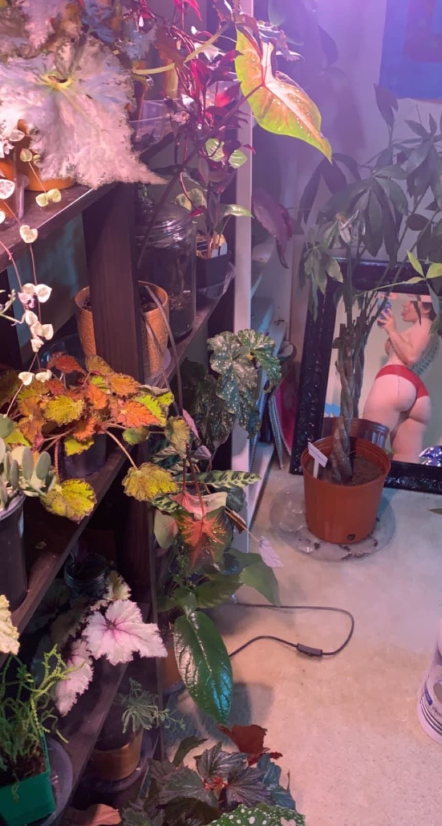 Rosalie Bea banner image