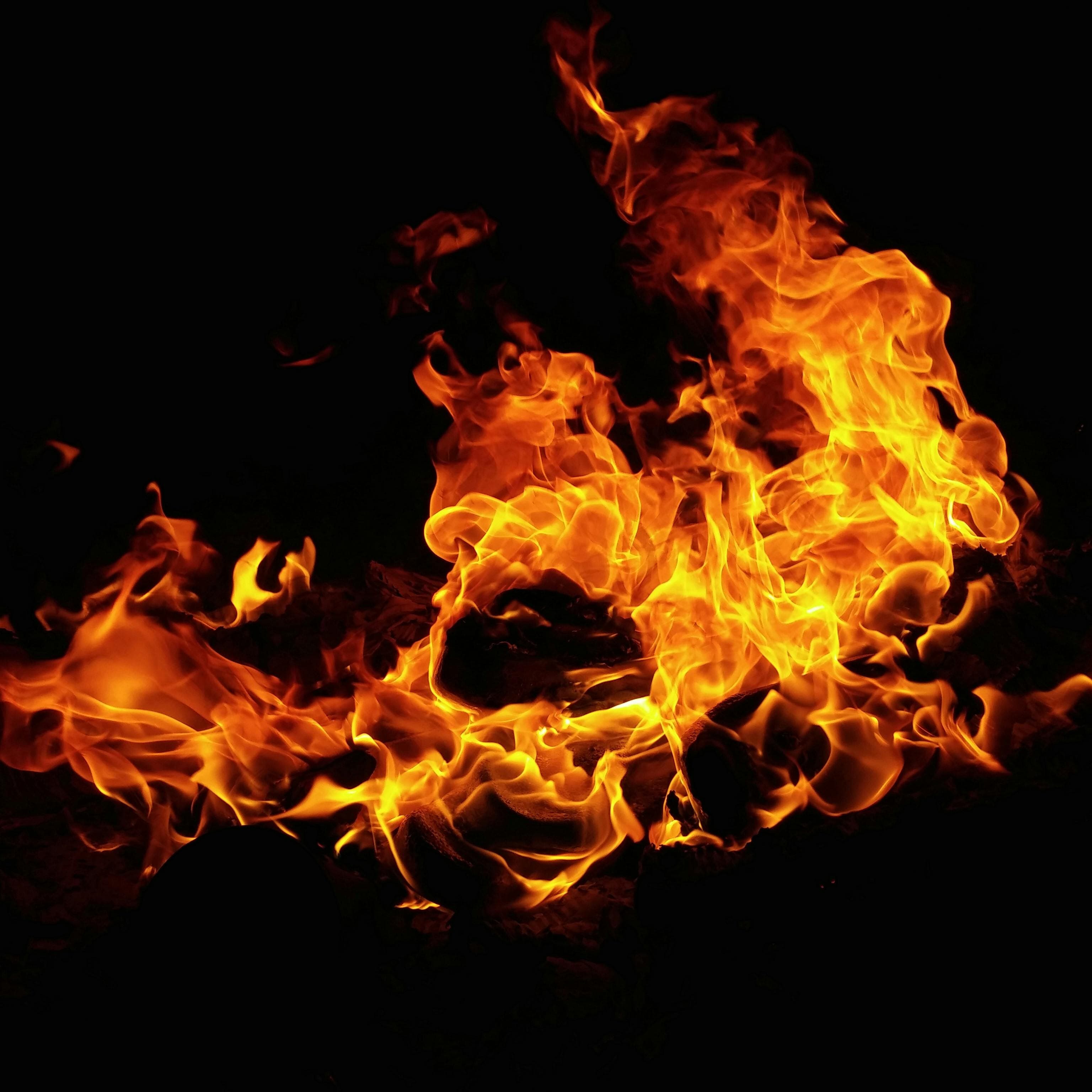 HOTTEST BABES π₯ banner image