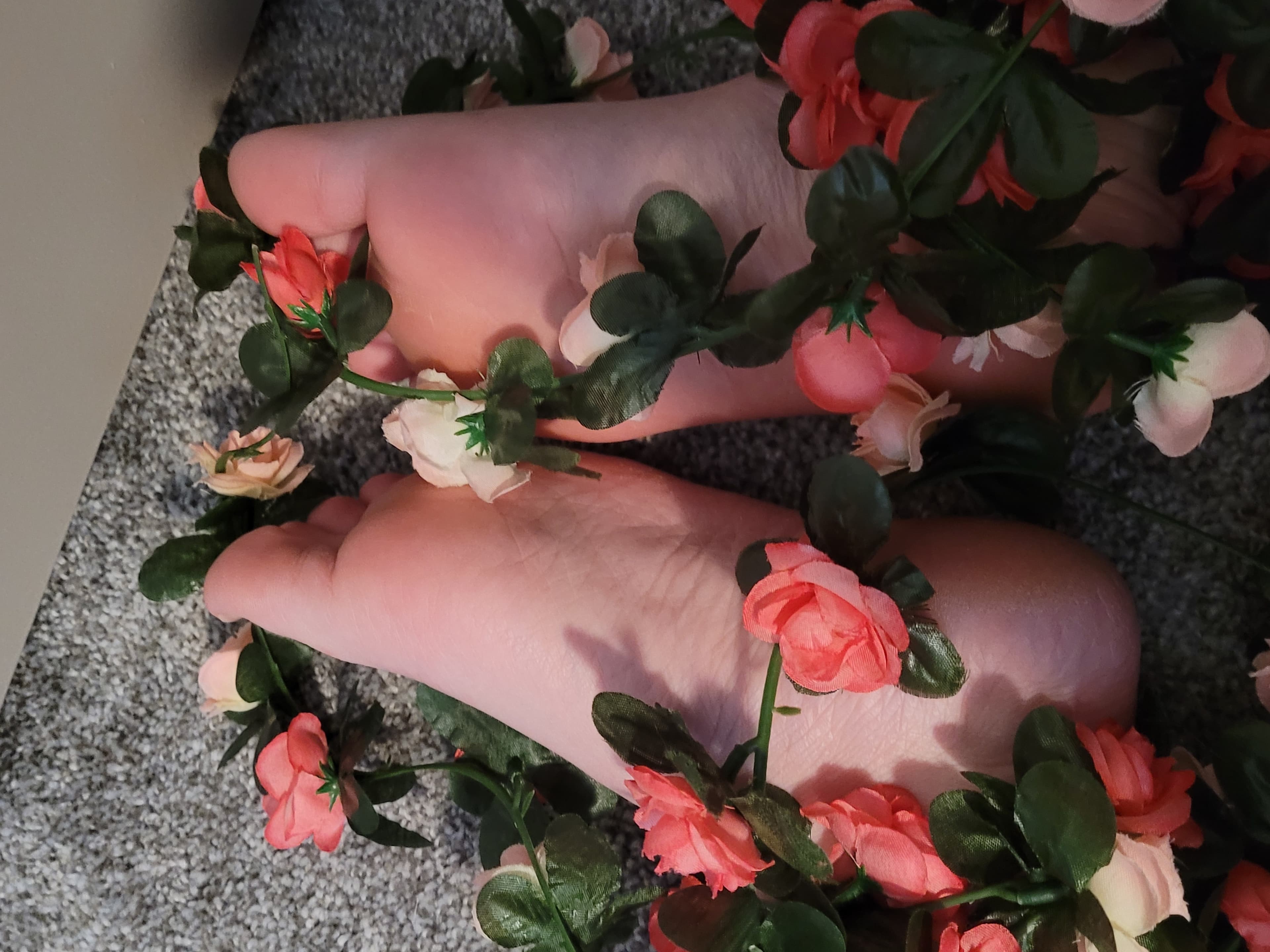 creppermintz banner image