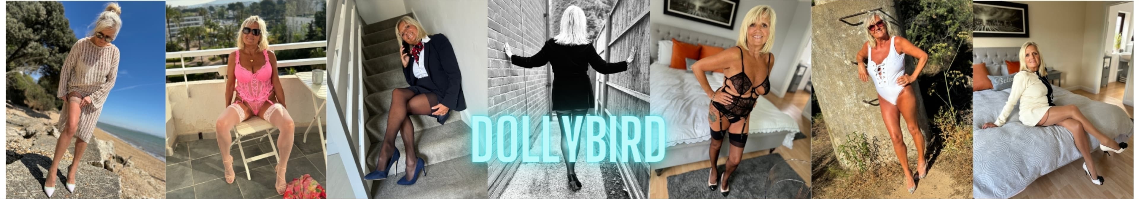 Dolly Bird banner image