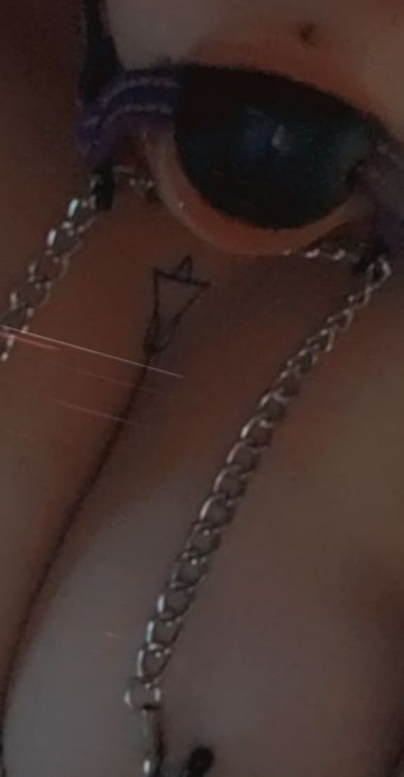 Casey banner image