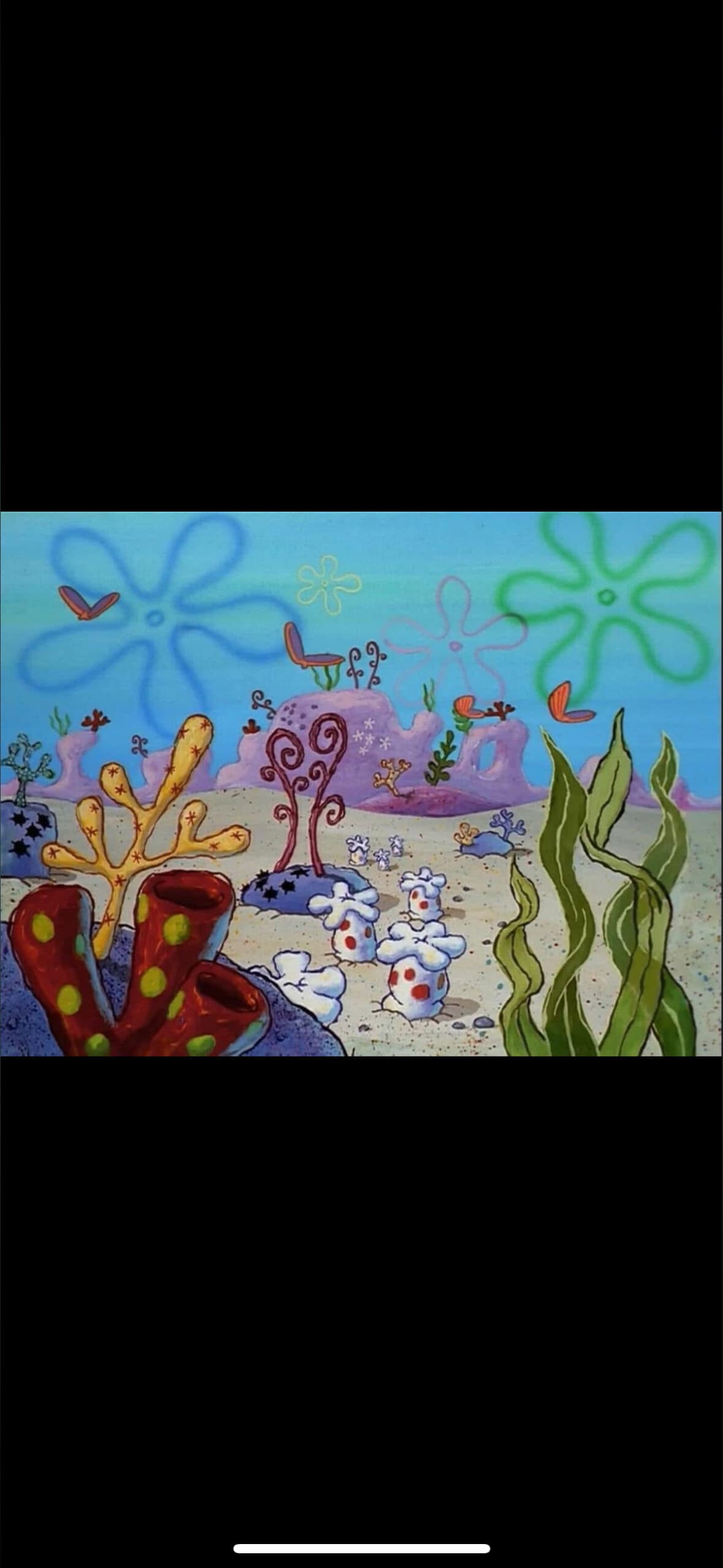 dee banner image