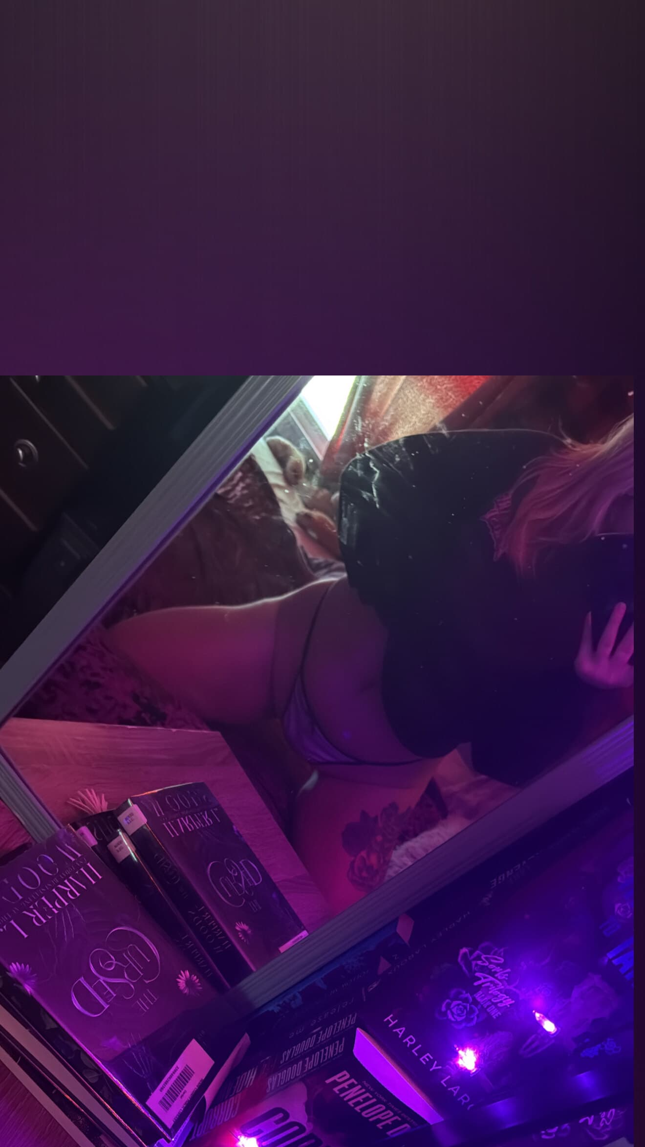 Wildkitten banner image