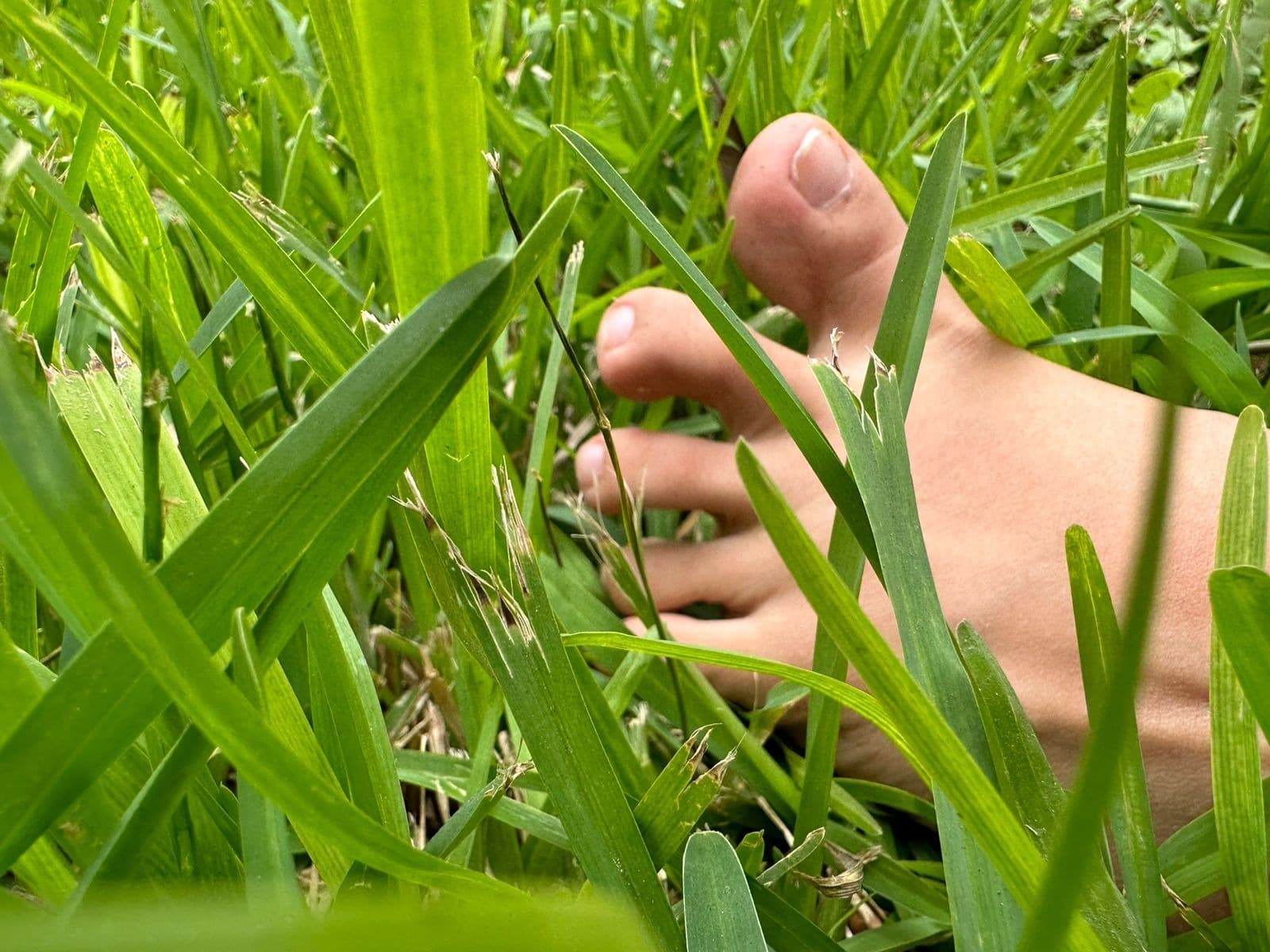 Two Feet To Handle 👣 banner image