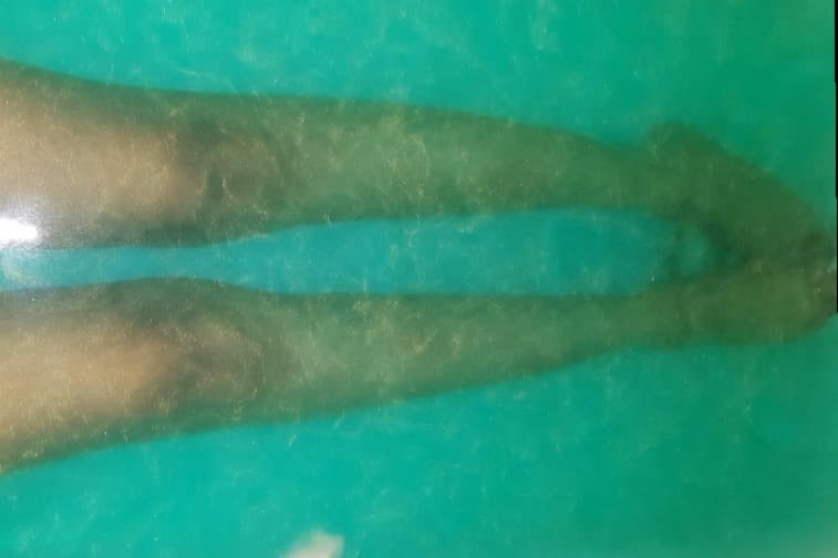 FeetandFin banner image