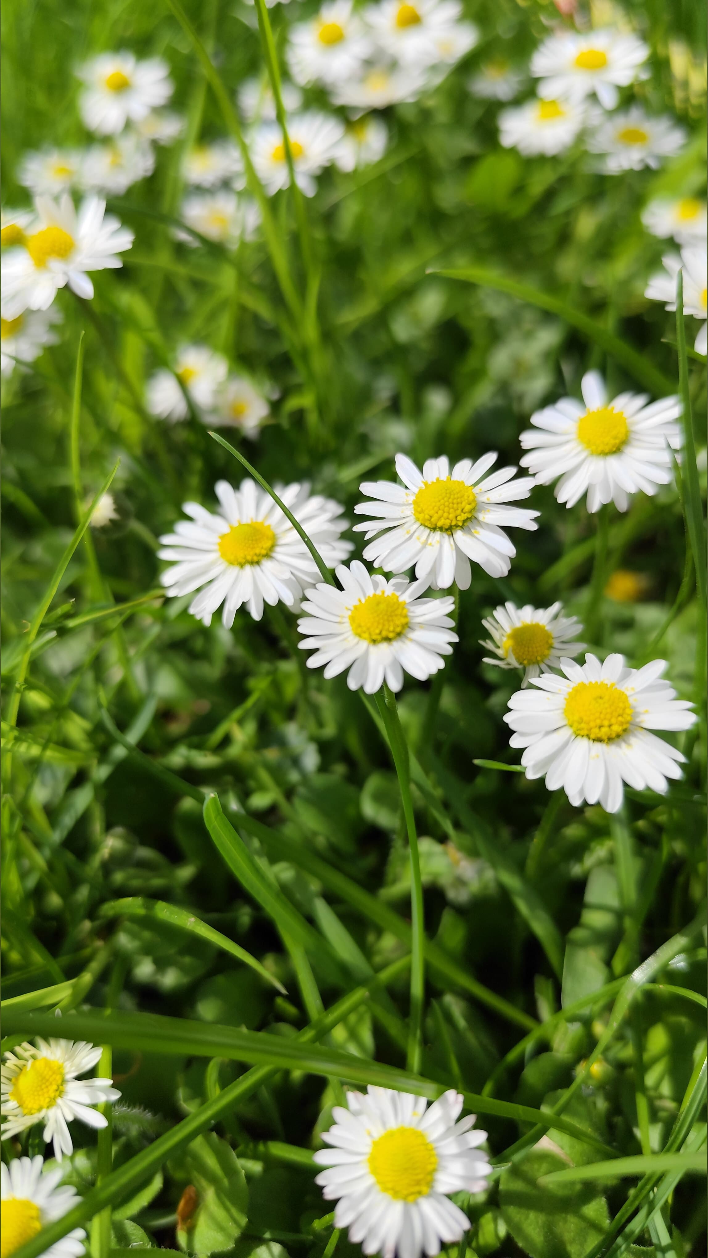 Jenna banner image