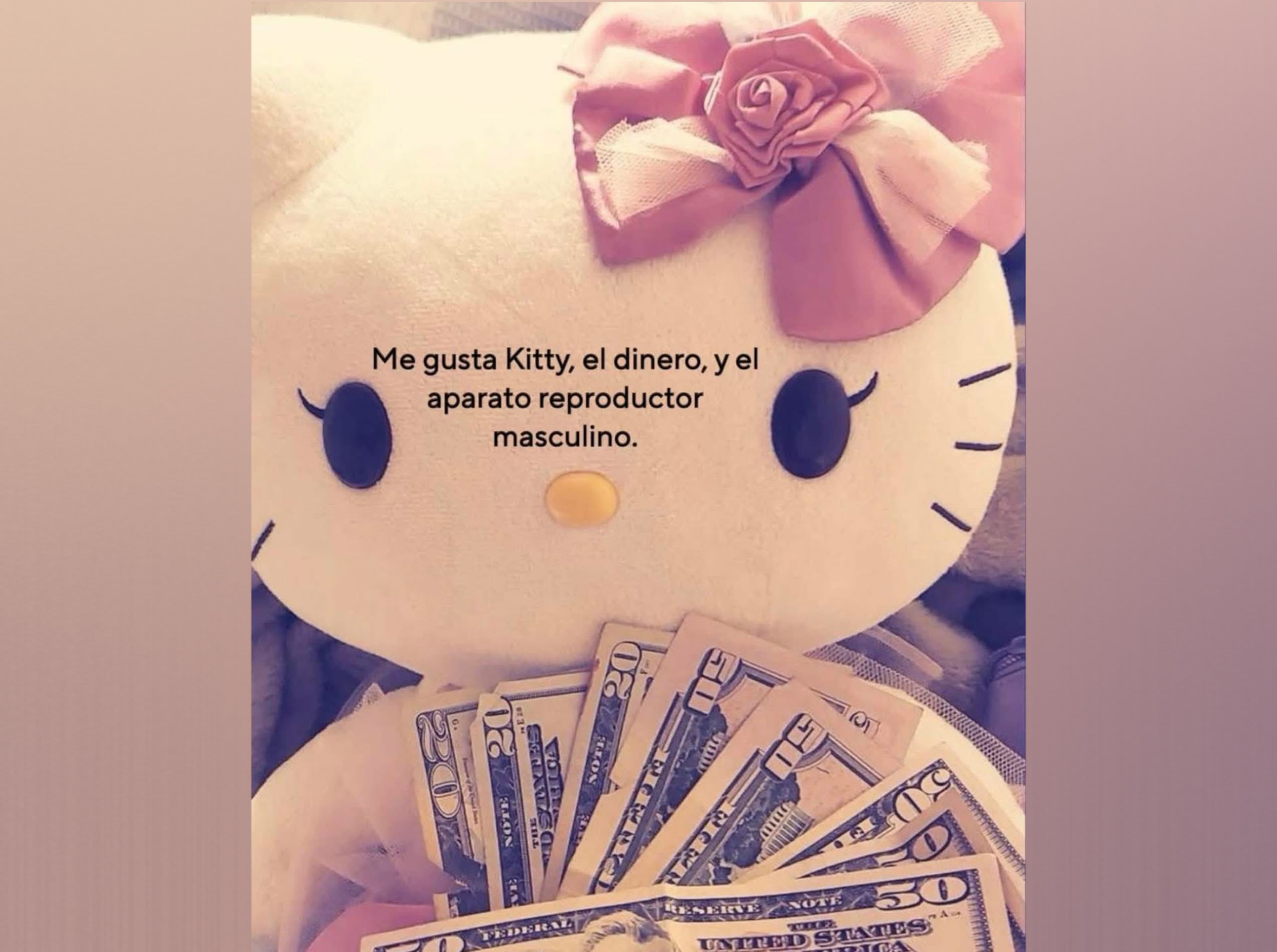 Fluffybunny🤍 banner image