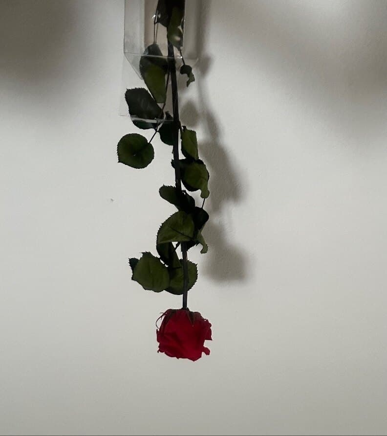 Ksenia π€ banner image