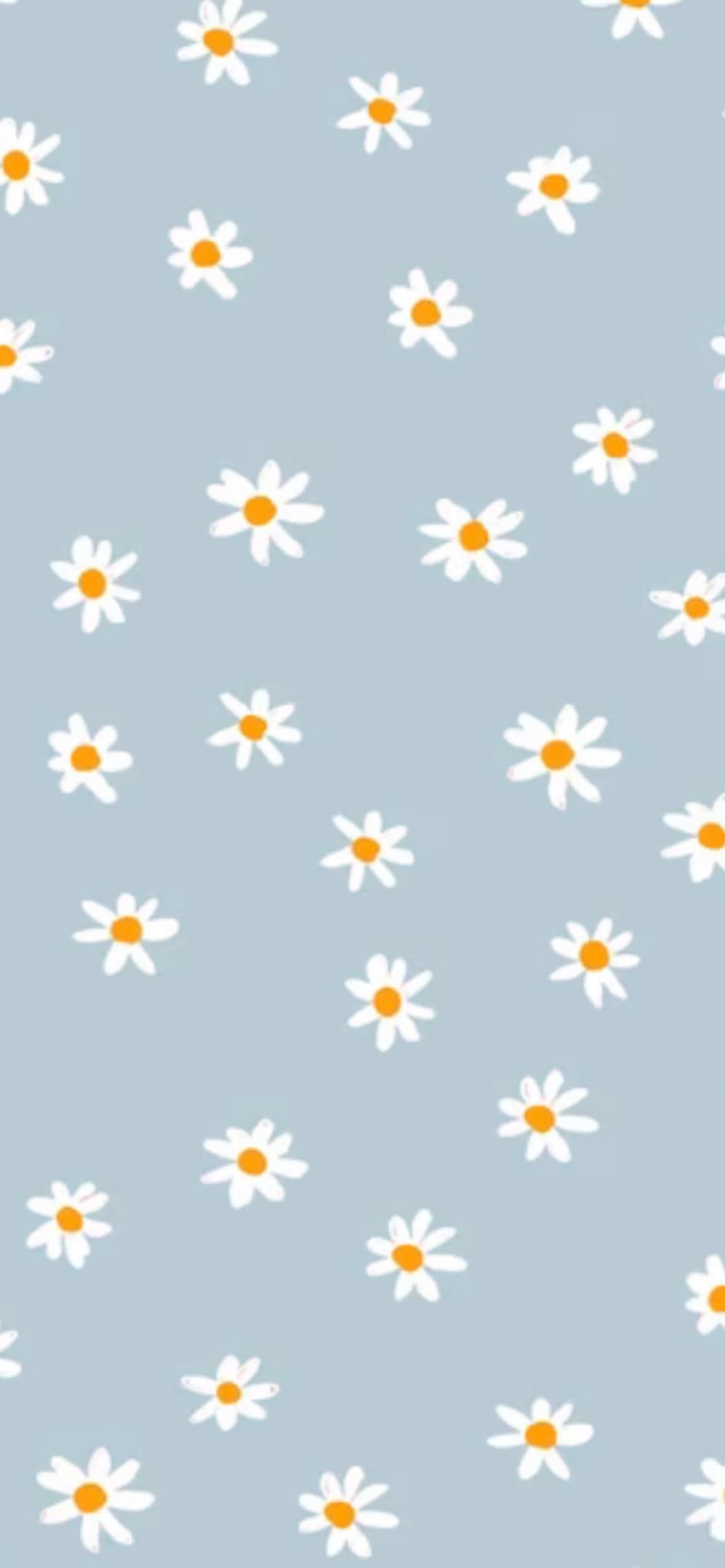 Bryony West ππ± banner image