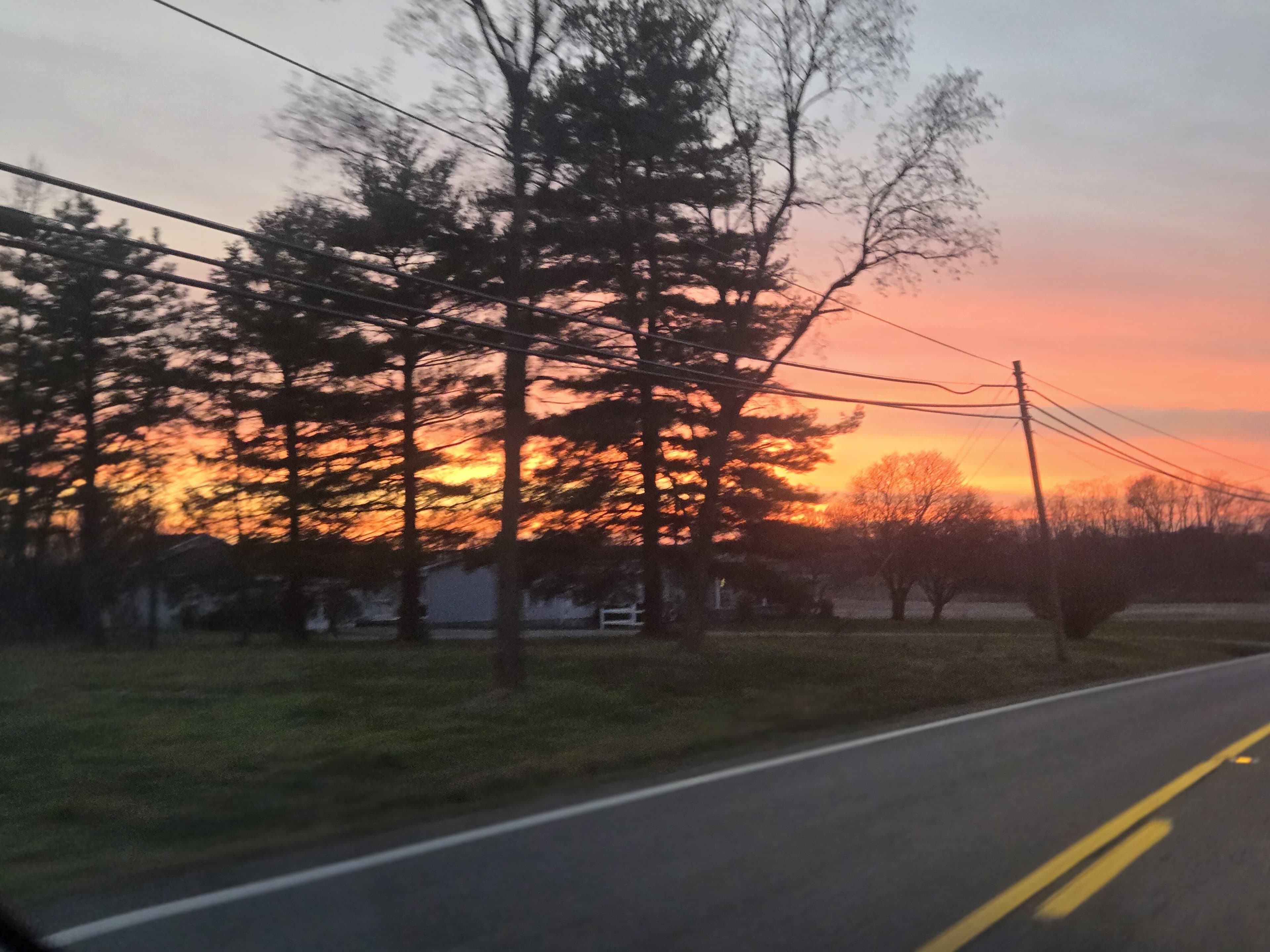Sarah Elkins banner image