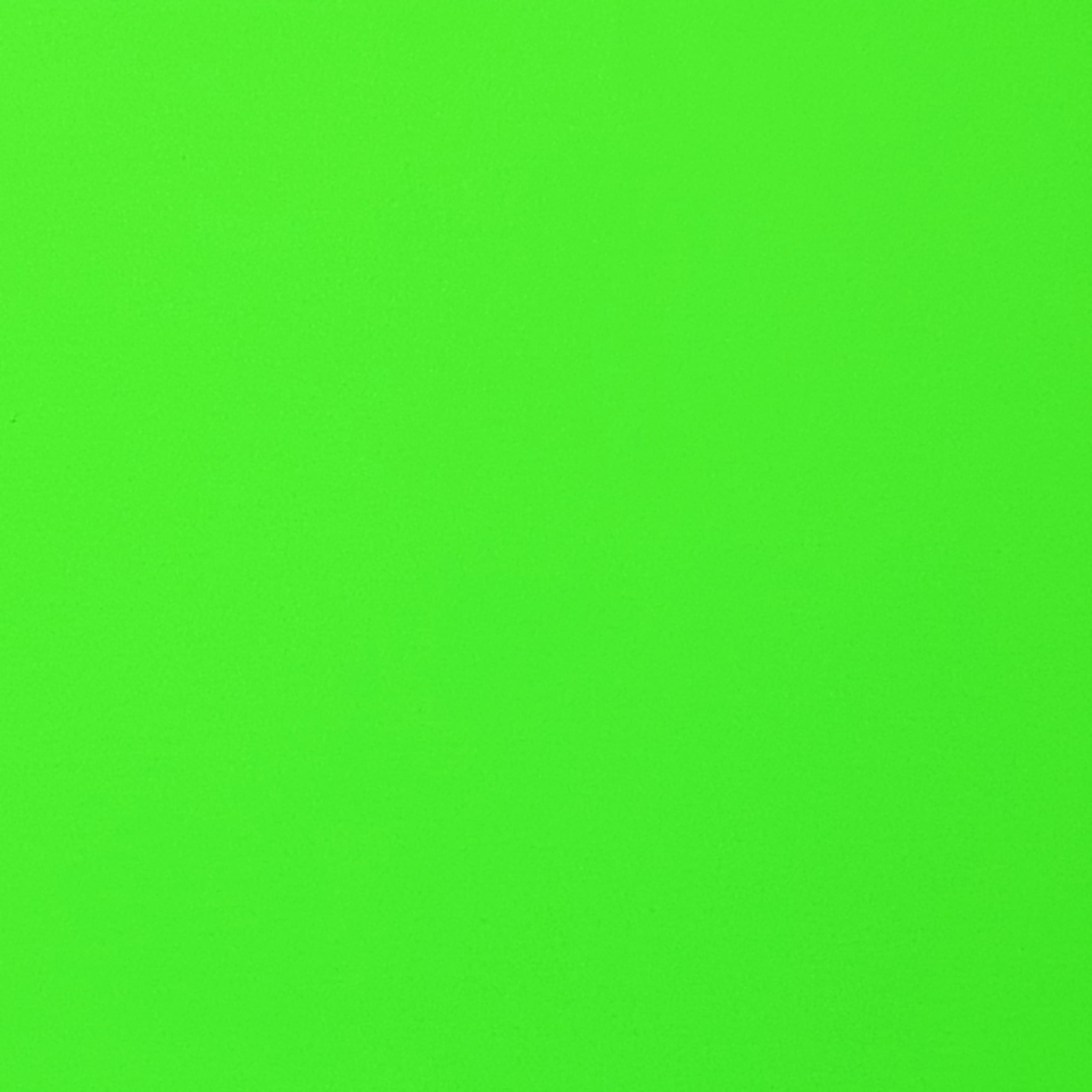 Eurasian Bi banner image