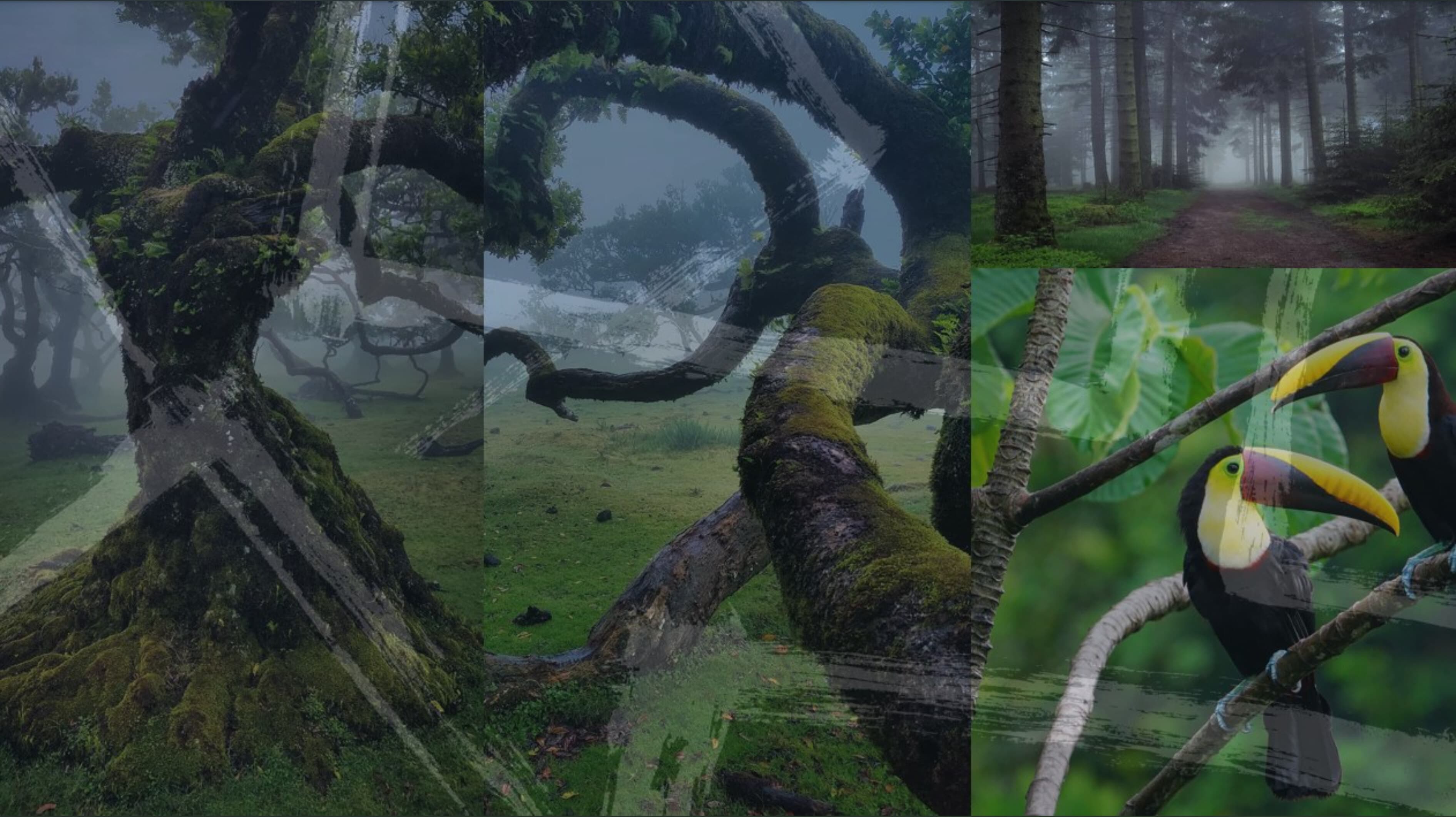 Electro71 banner image