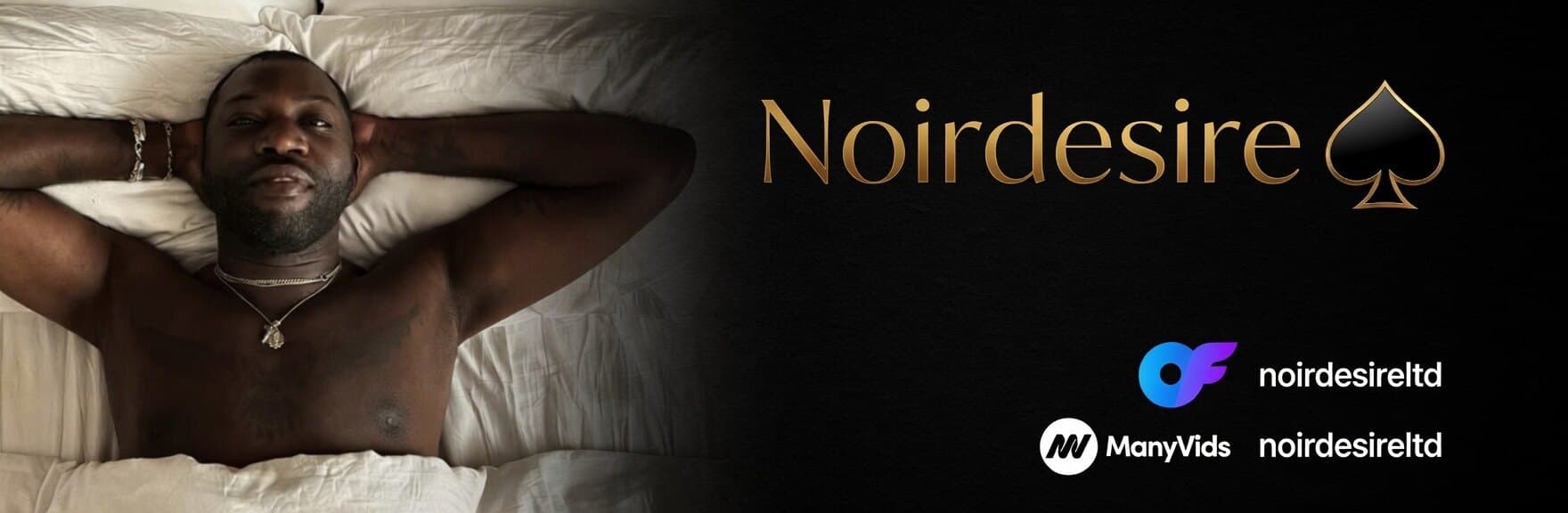 Noir Desire banner image