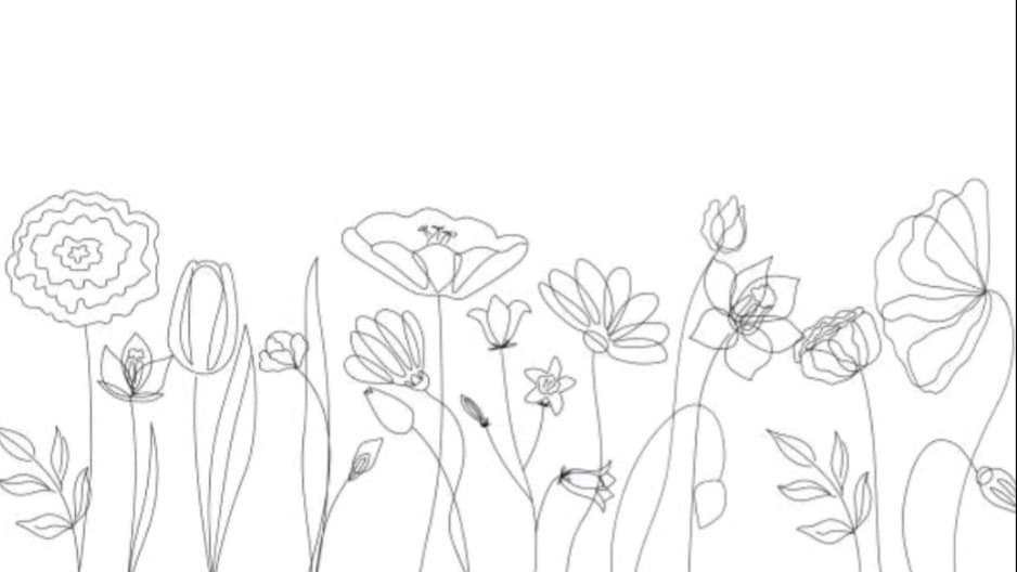 Moonlight Muze banner image