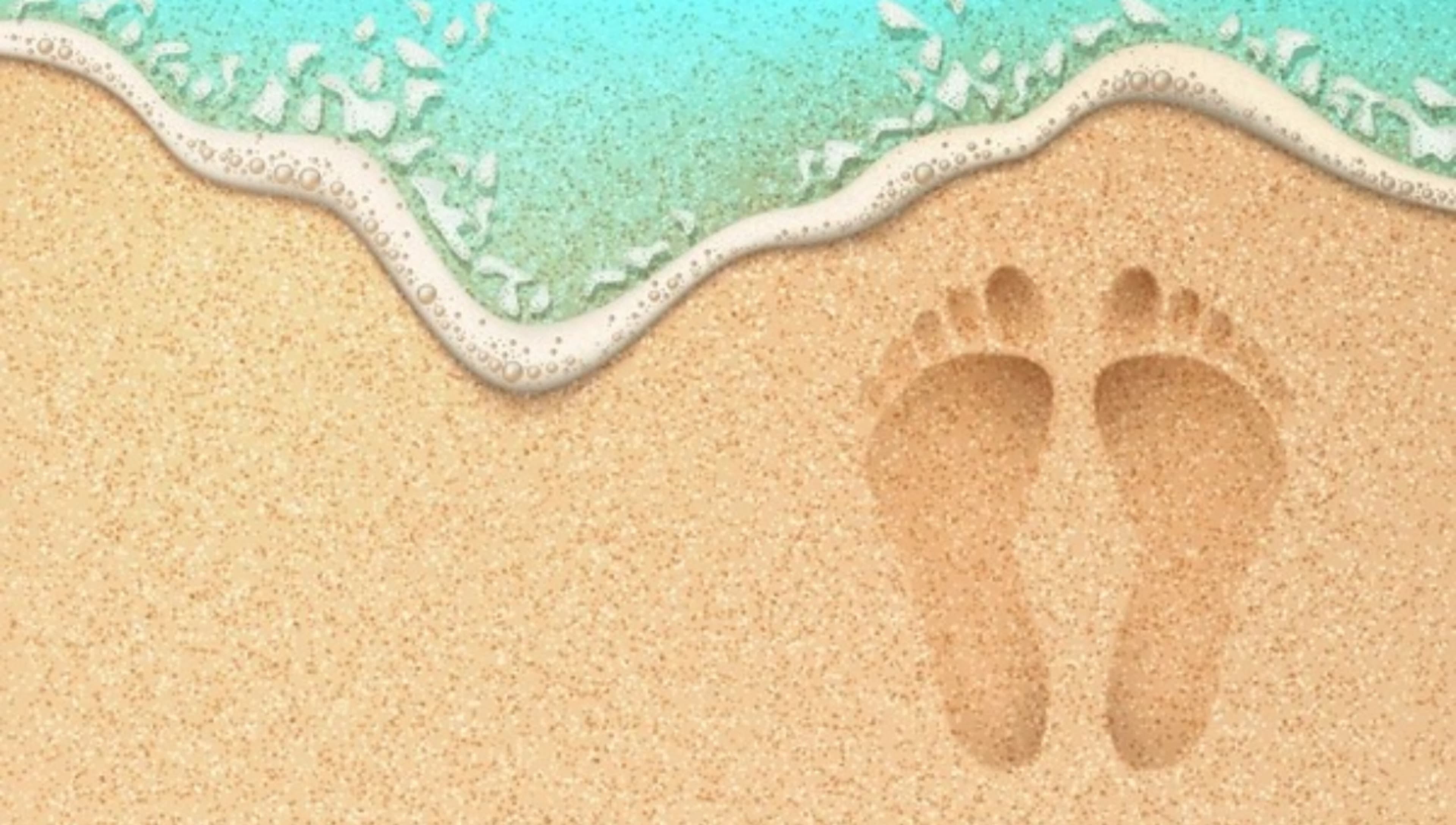 Lexi banner image