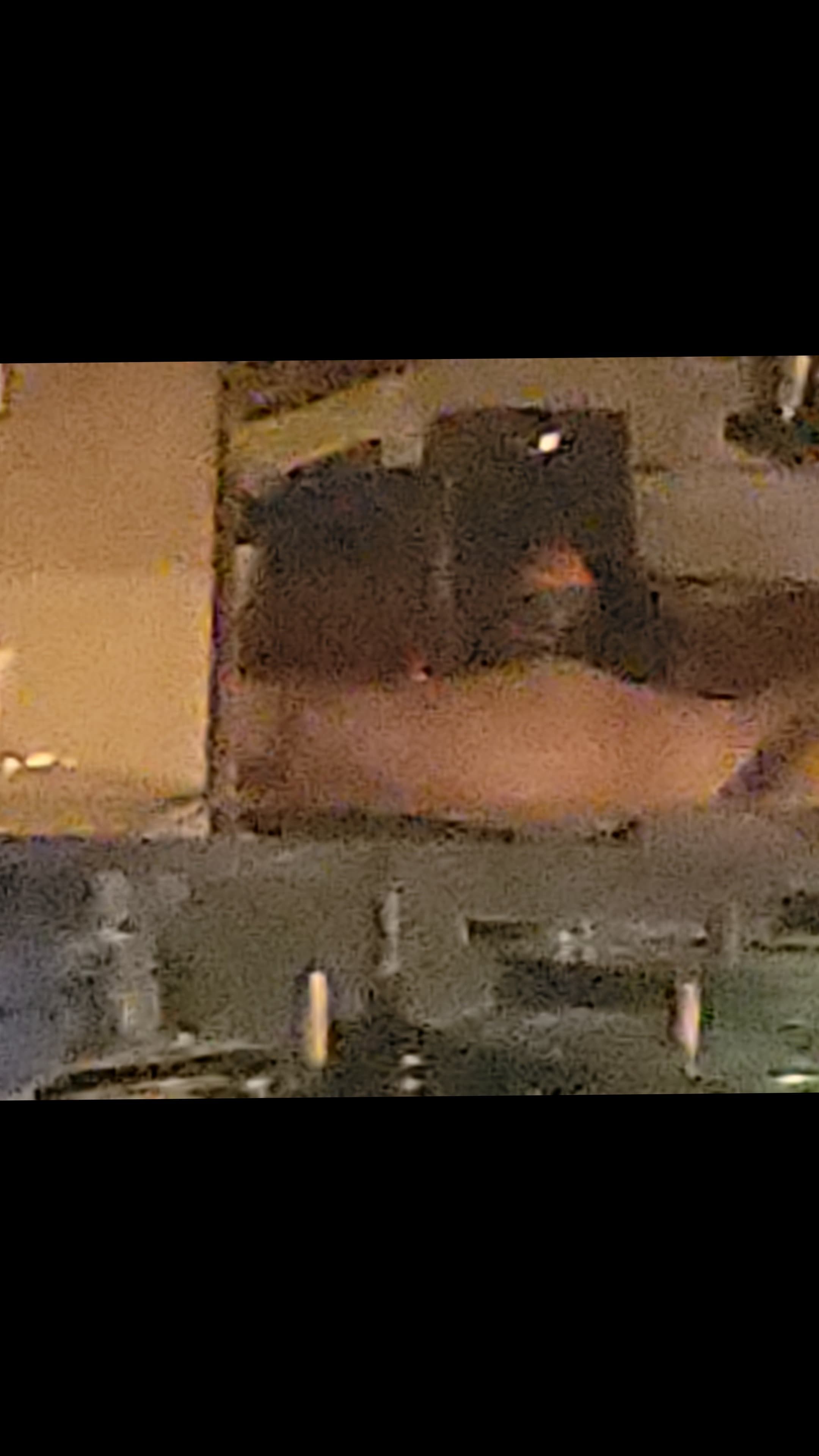 Aznsense banner image