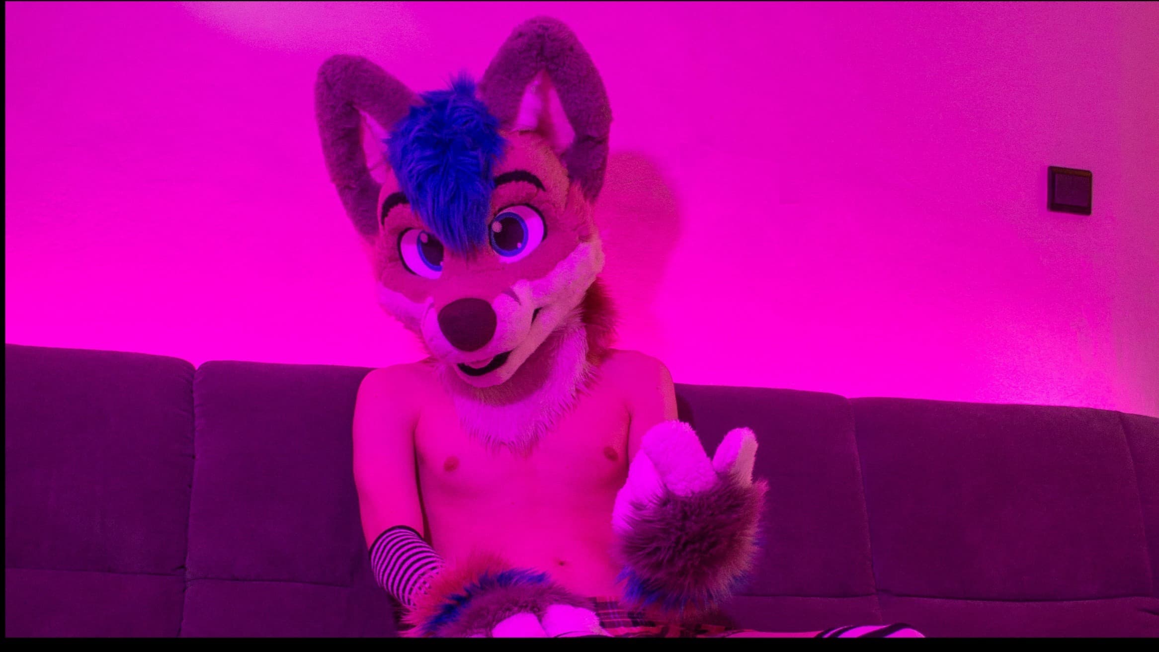 Lewd Whity banner image