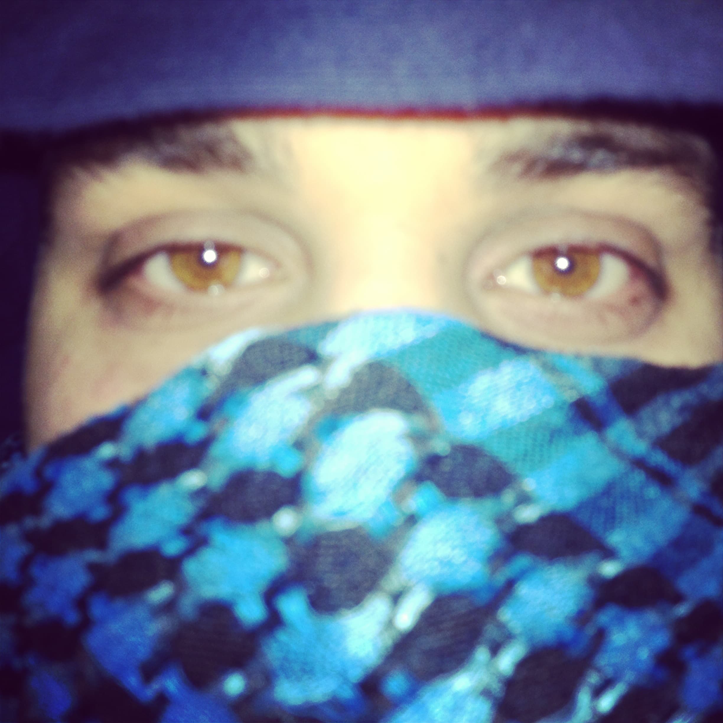 Arab Prince banner image