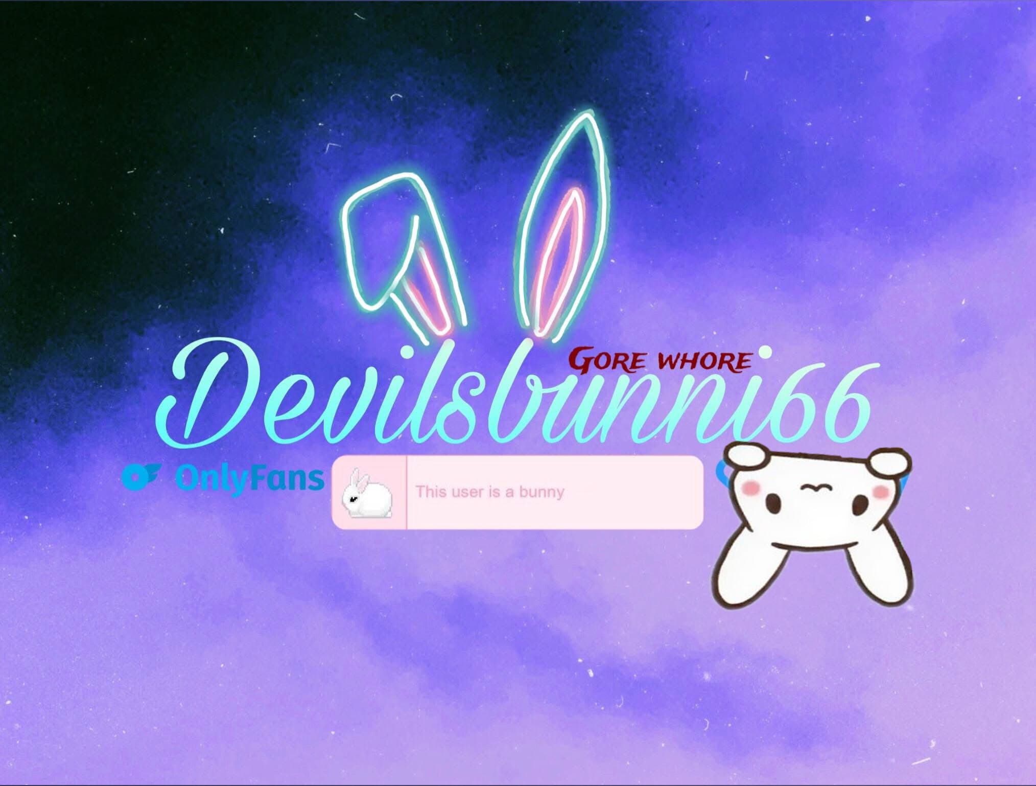 Little bunni banner image