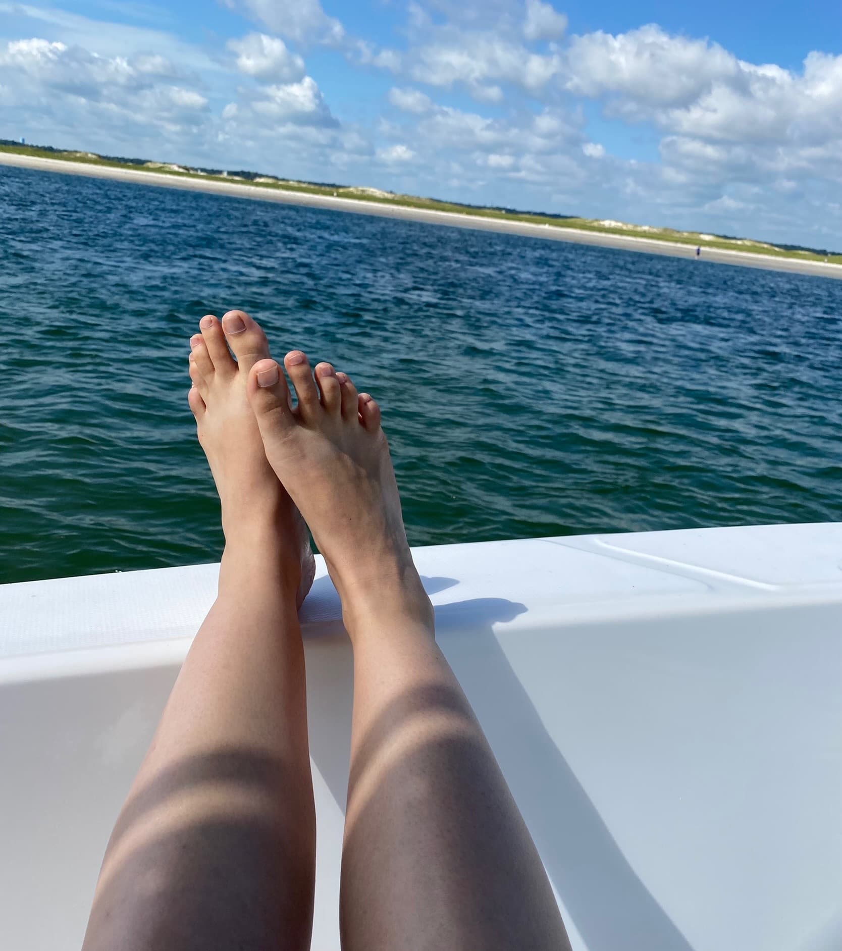 Tanlinesonmytoes banner image