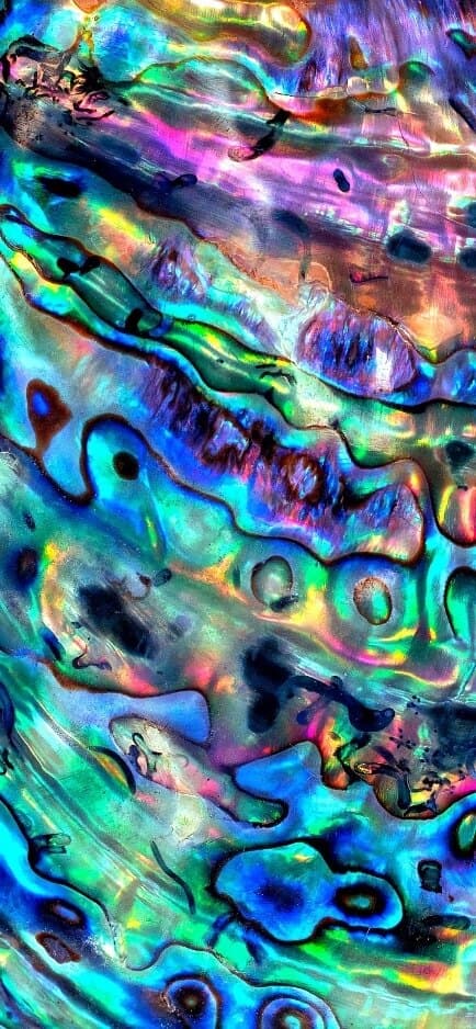 L🍭 banner image