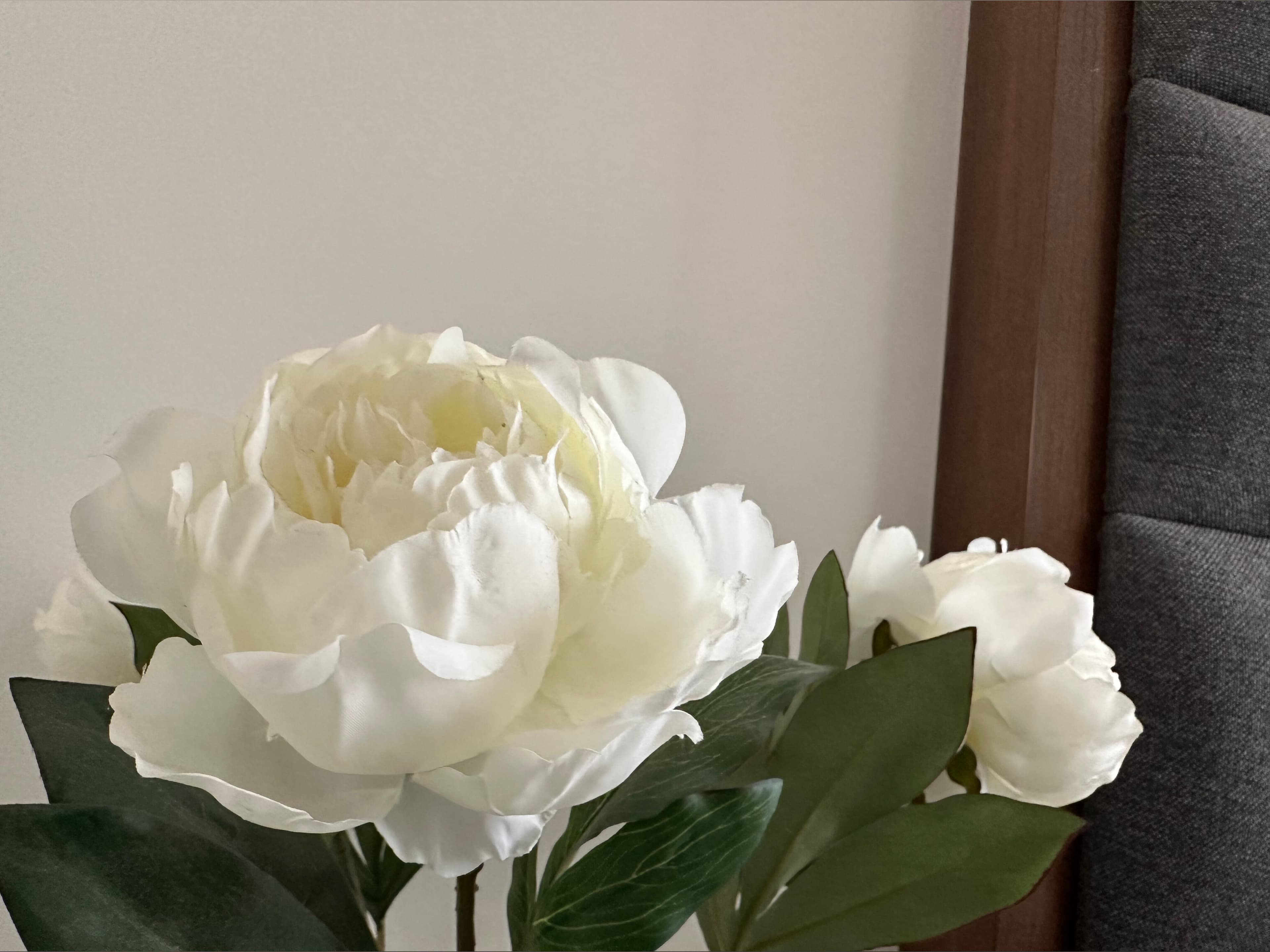 ππ¨π«π πππ¦ππ₯π¨ ππ¨ππ¨ banner image