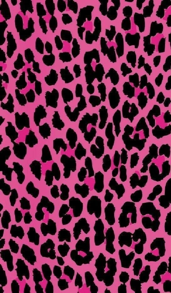 dollie banner image
