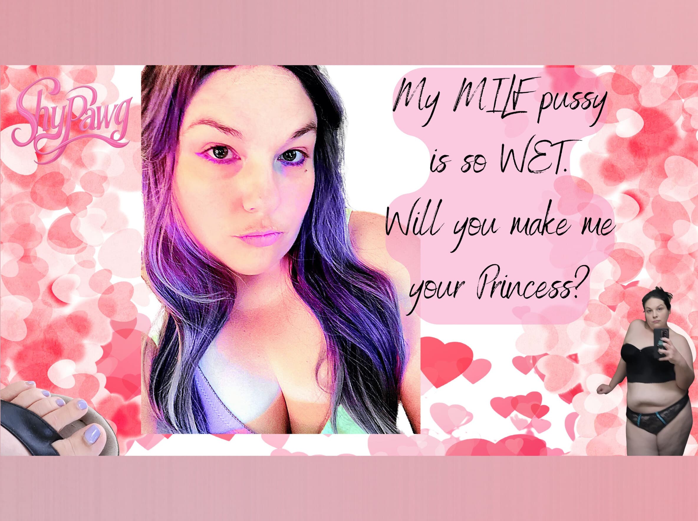 PawgShy banner image