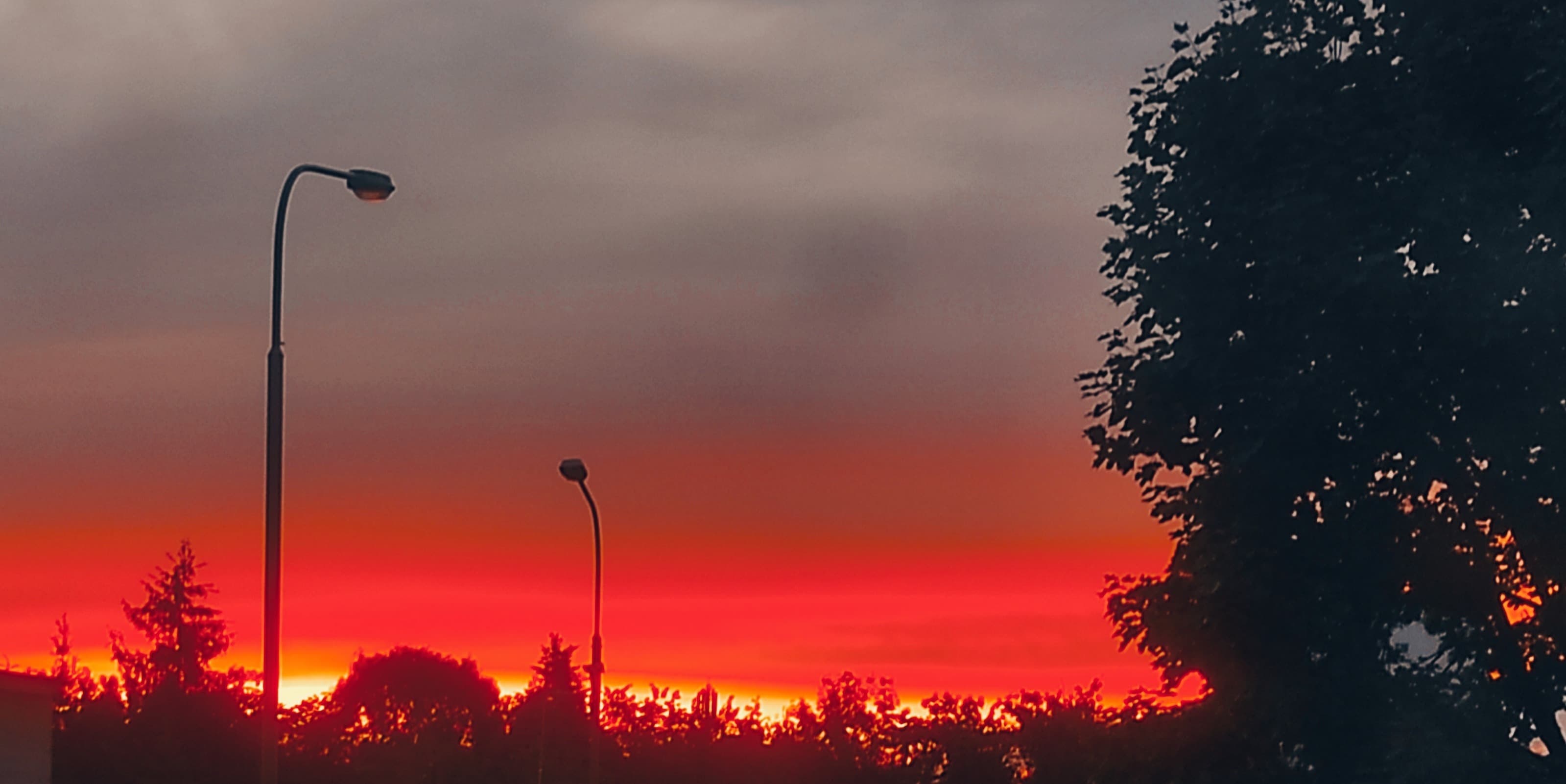 Venradv banner image