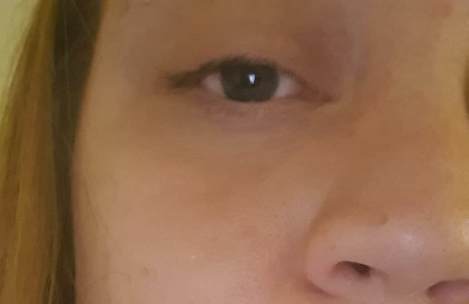 FatAssLass banner image