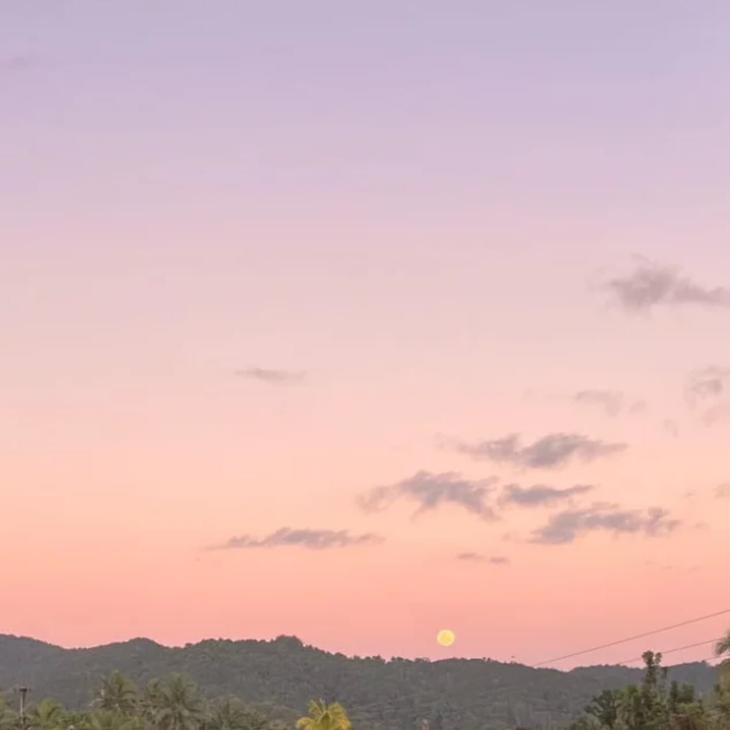 Skinnytwinkfist banner image