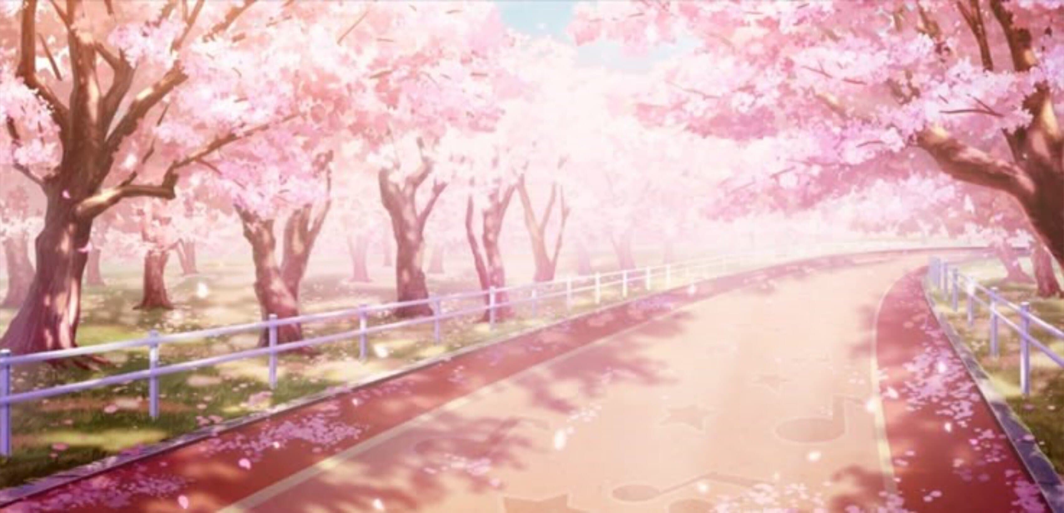 Cheribuya🍒 banner image