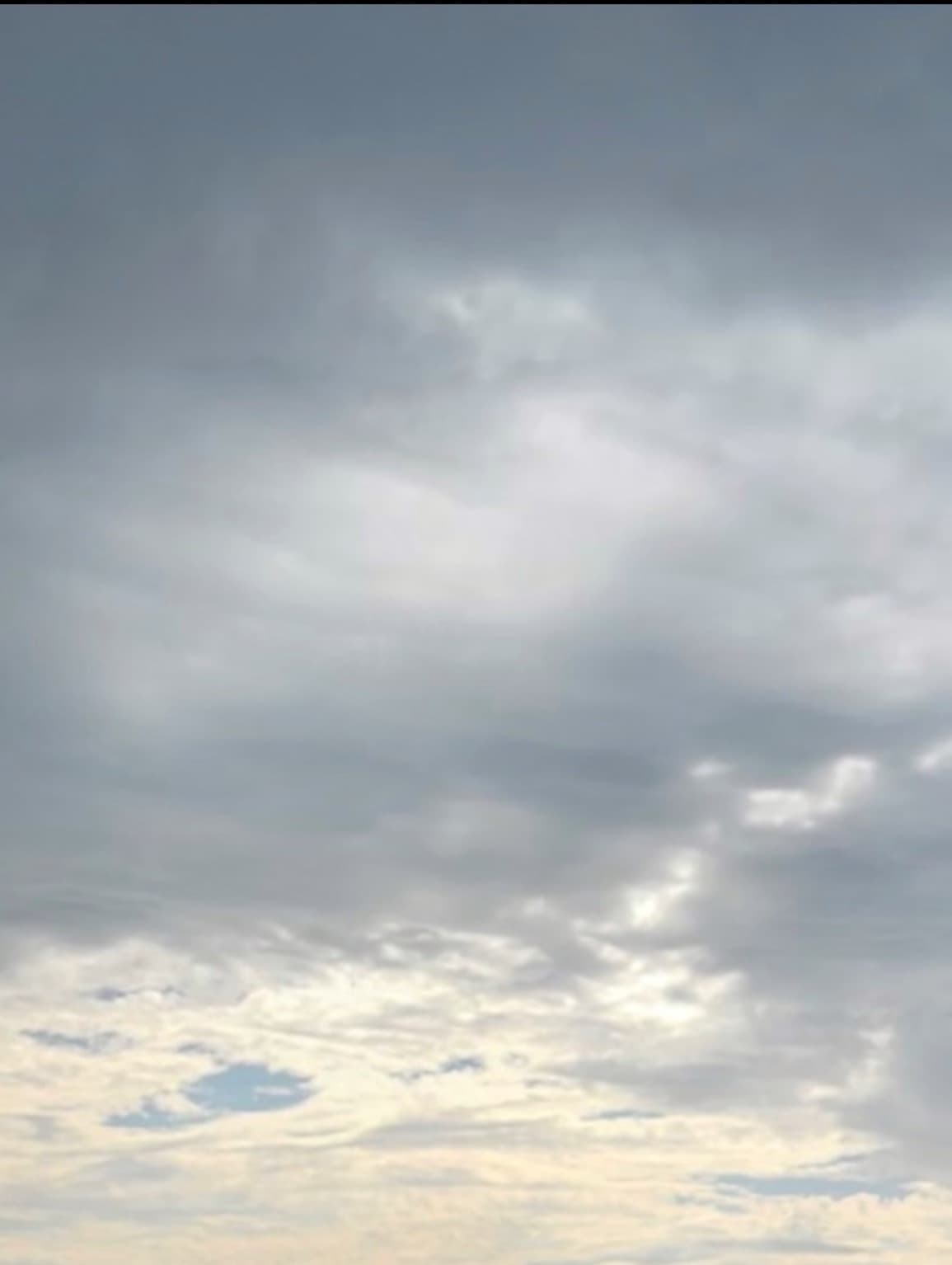 Kitty Xu banner image