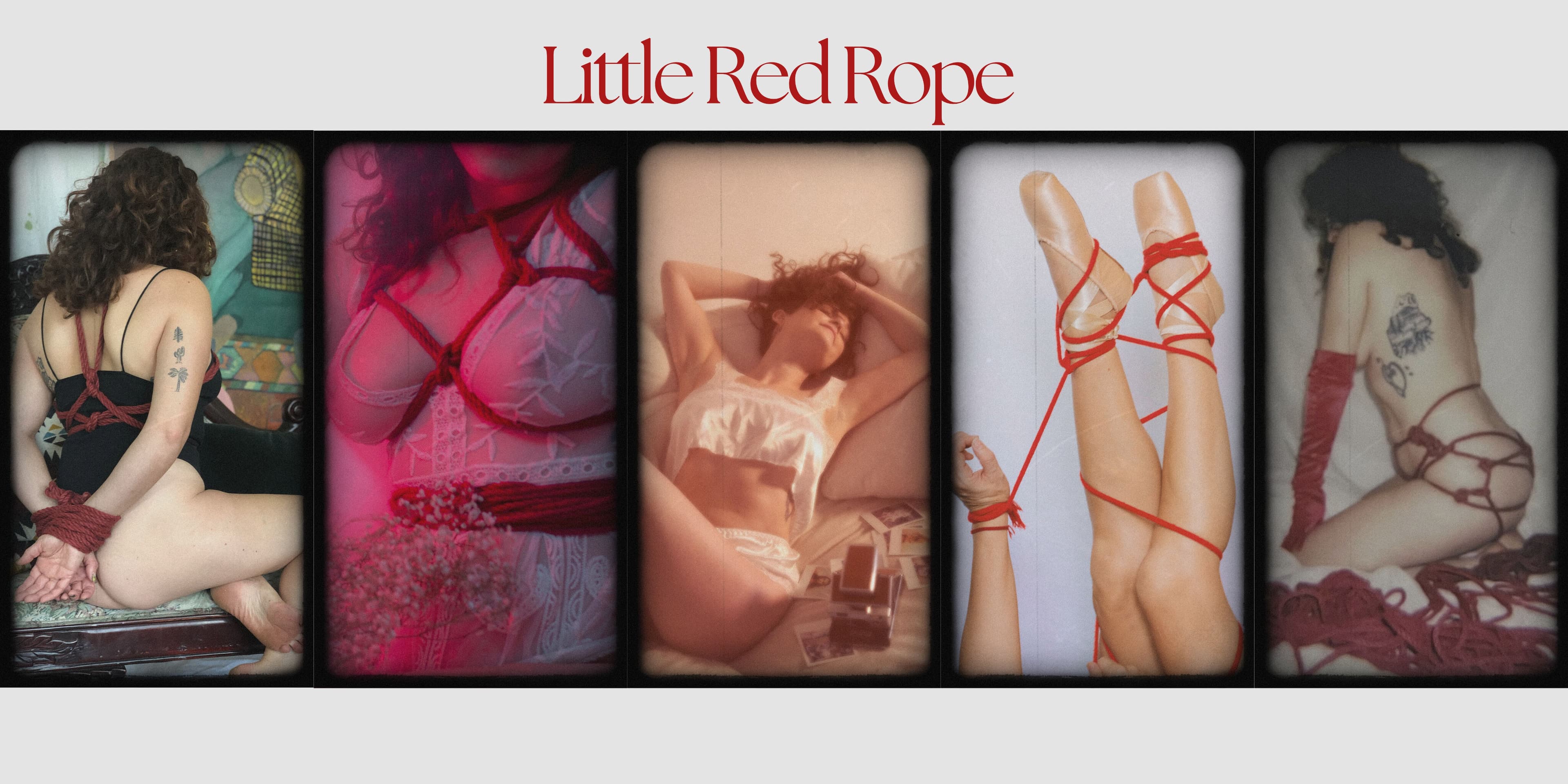 Ginger🍒 banner image
