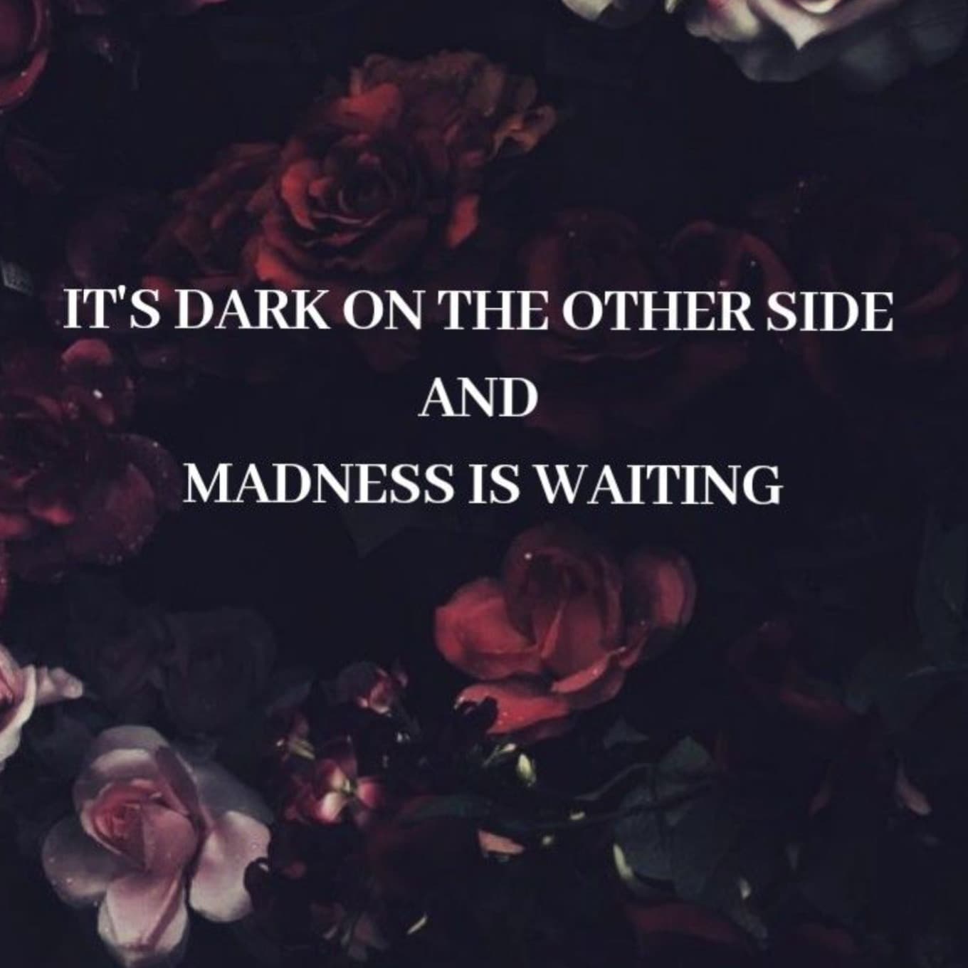 Salacious Darkness banner image