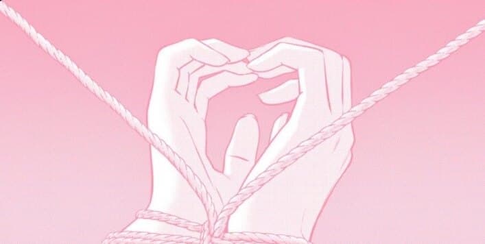 Princess π banner image